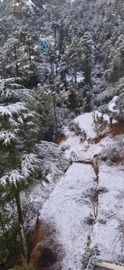 Solitude Inn Bnb Shimla Buitenkant foto